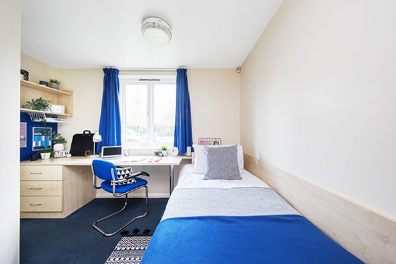 Bright single bedroom with study area in Calthorpe Court, Birmingham