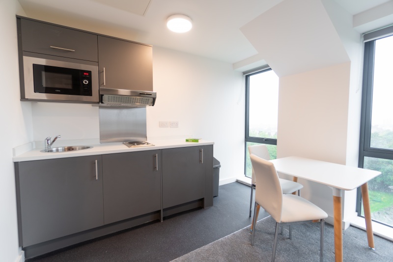 studio apartment with a kitchenette