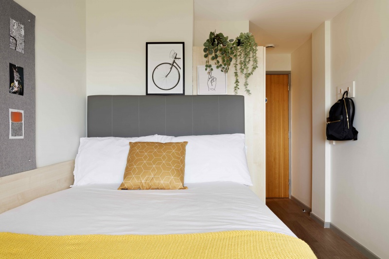 Shared Flat Room