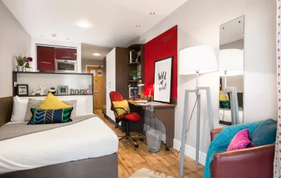 Premium Studio Dashwood Studios