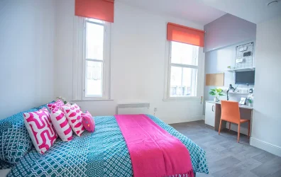 Premium_Plus_Small_Image_42